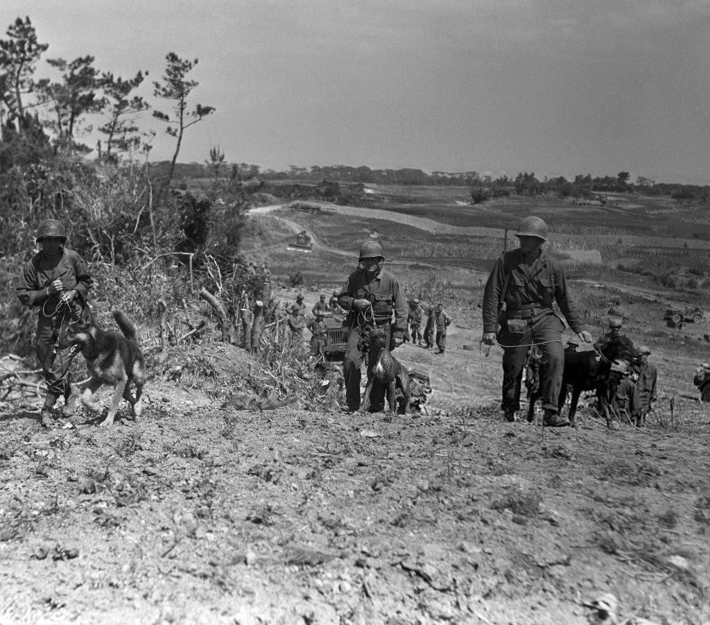 Okinawa 1945_5 (45).jpg