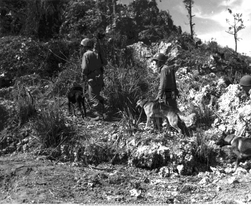 Okinawa 1945_6 (3).jpg