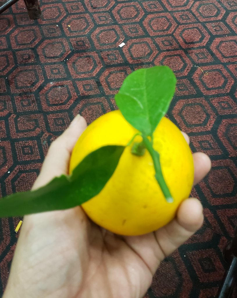 20221221_135856.jpg
