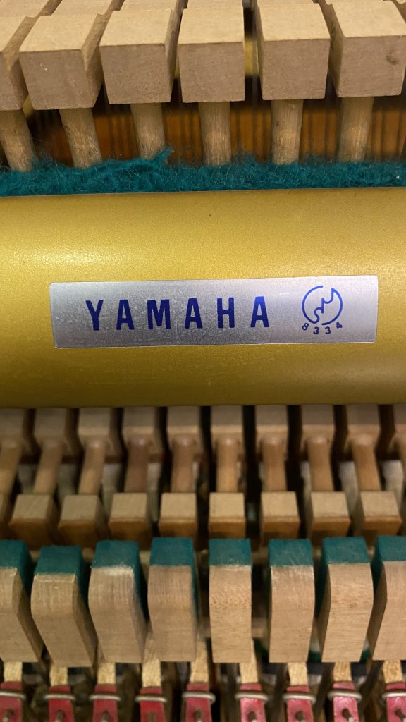 5882E785-AE88-4243-886D-8E6515682BF8.jpeg