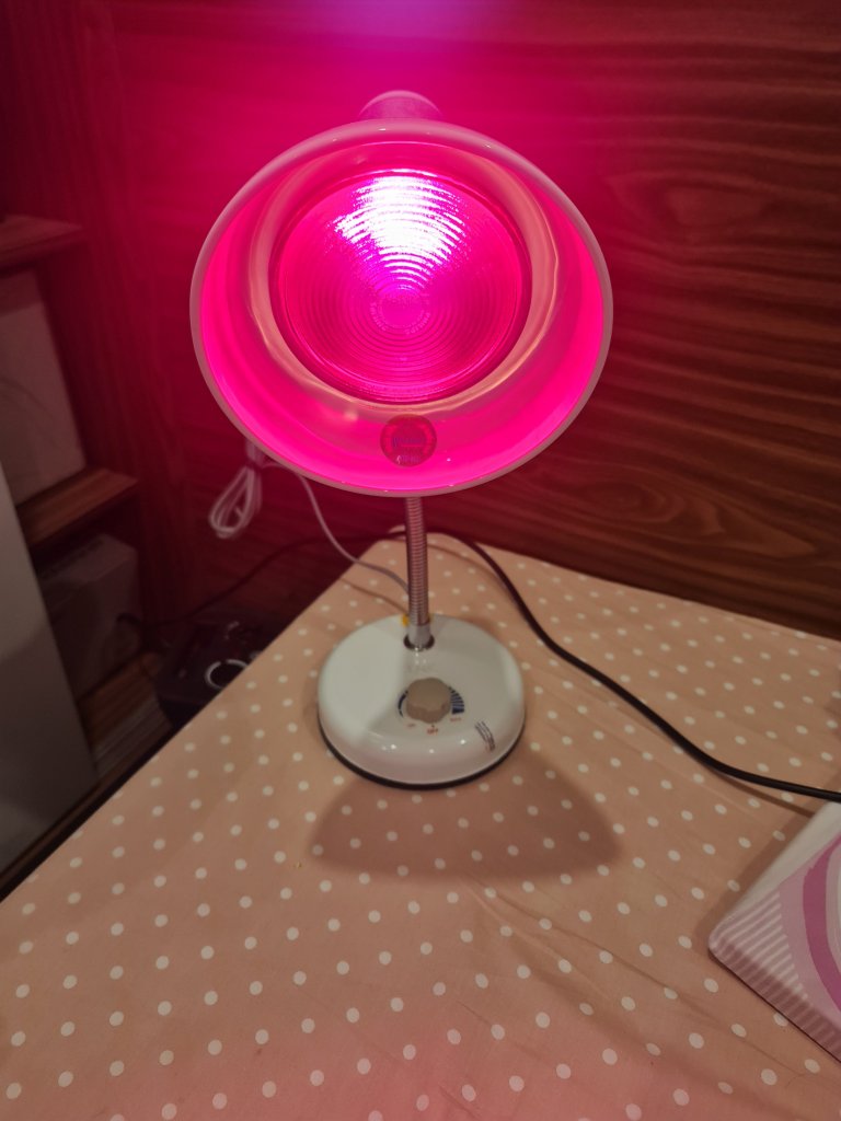 20230127_183518.jpg