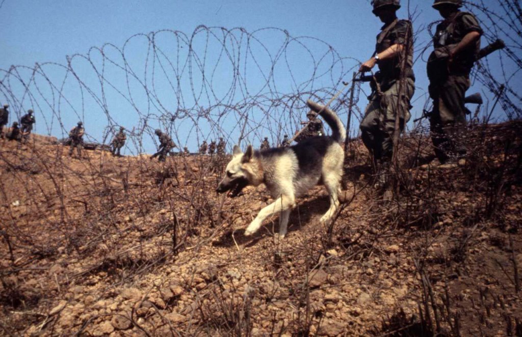 Khe Sanh 1968_4_3 (65).jpeg