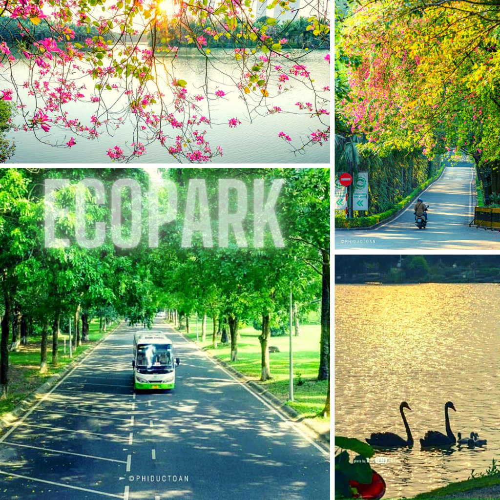 SP-Studio-anh-8-ecopark.jpg