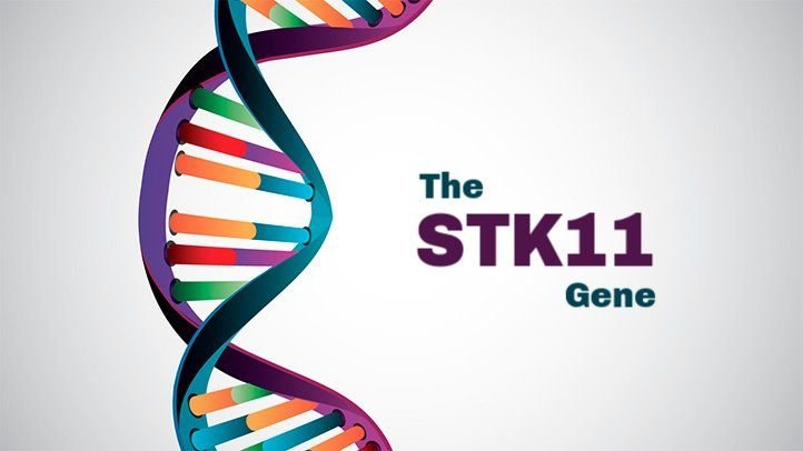 cancer-risk-genes-what-you-need-to-know-about-stk11-722x406.jpeg