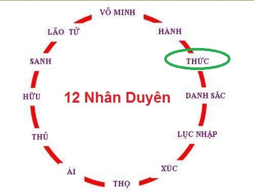 Tap-chi-Nghien-cuu-Phat-hoc-Thap-nhi-nhan-duyen-1.jpg