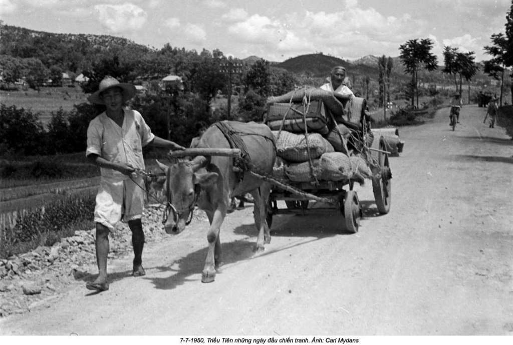 Korean War 1950_7_7 (1) Carl Mydans.jpg