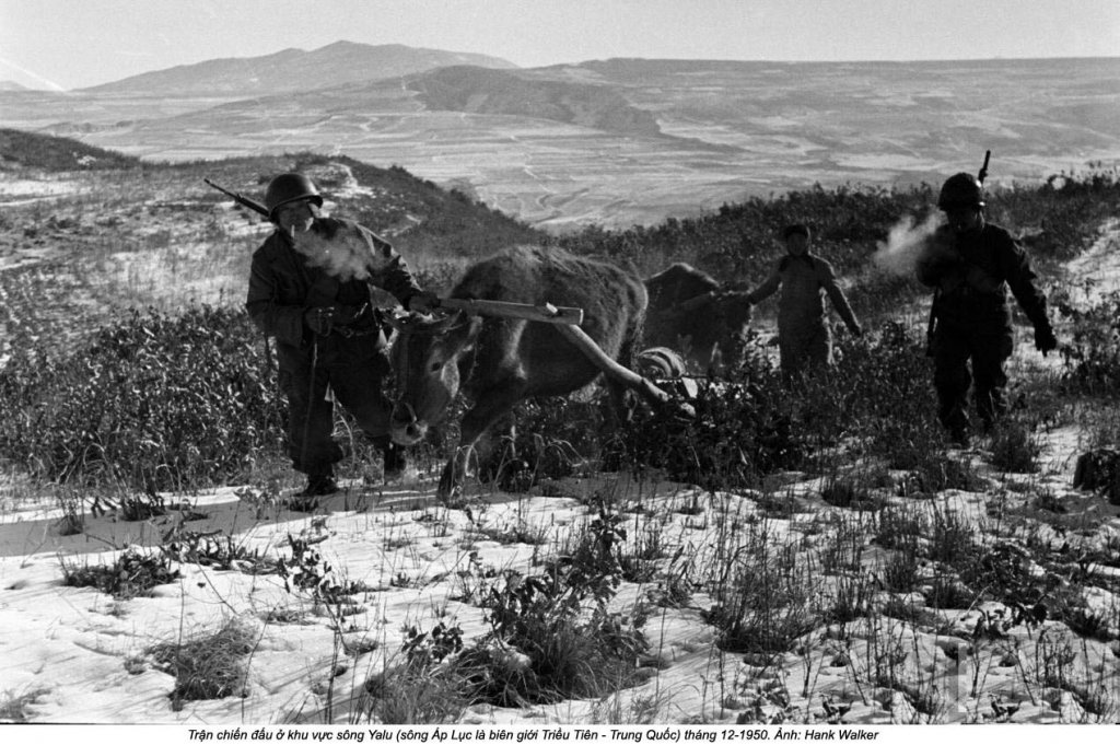 Korean War 1950_12 (17).jpg