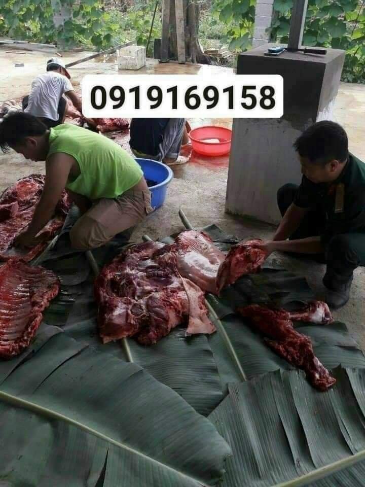 FB_IMG_1685409466214.jpg