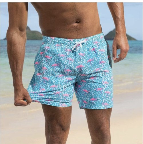 quan-boi-di-bien-nam-chubbies (14).jpg