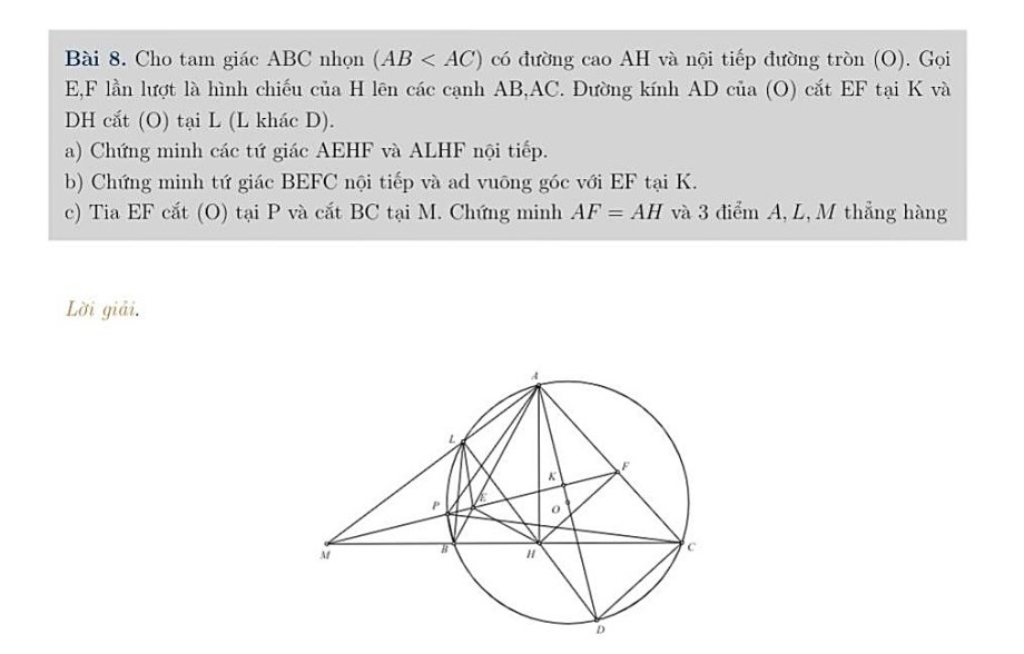 351624945-217415587775867-1371-3388-7236-1686112056.jpg