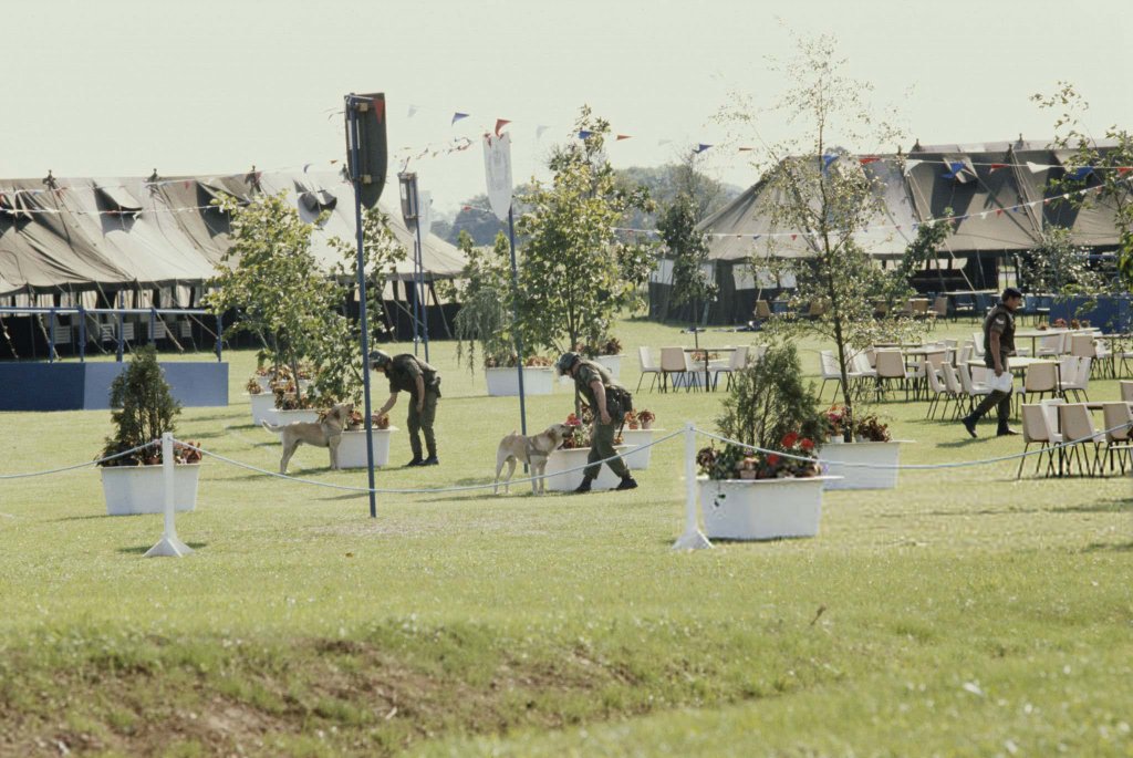 Anh 1977_8_10 (1) Ireland.jpg