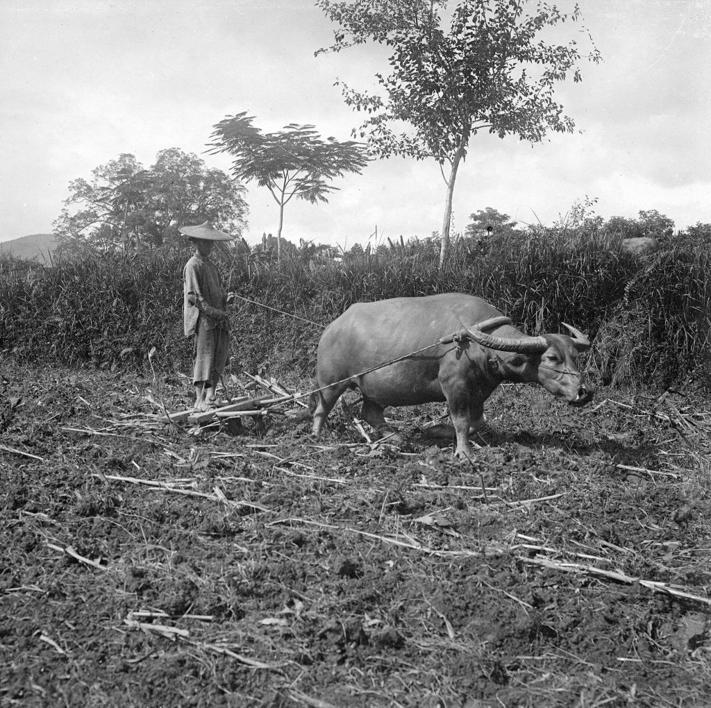 Cao Bằng 1902 (53).jpg