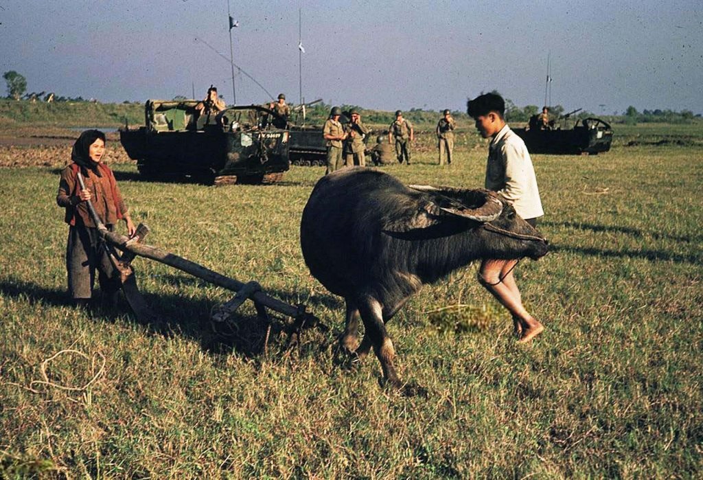 Việt Nam 1954_3 (1_17).jpg