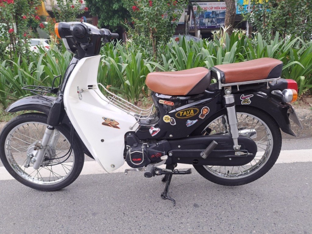 cub 50cc (1).jpg