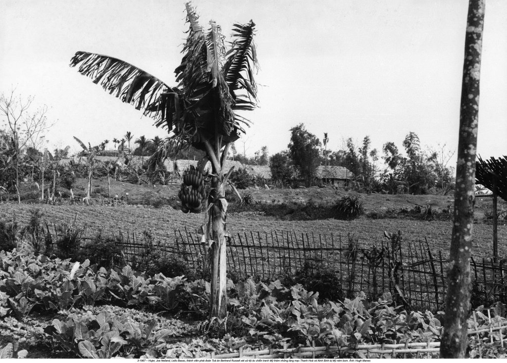 Việt Nam 1967 (2_44).jpg