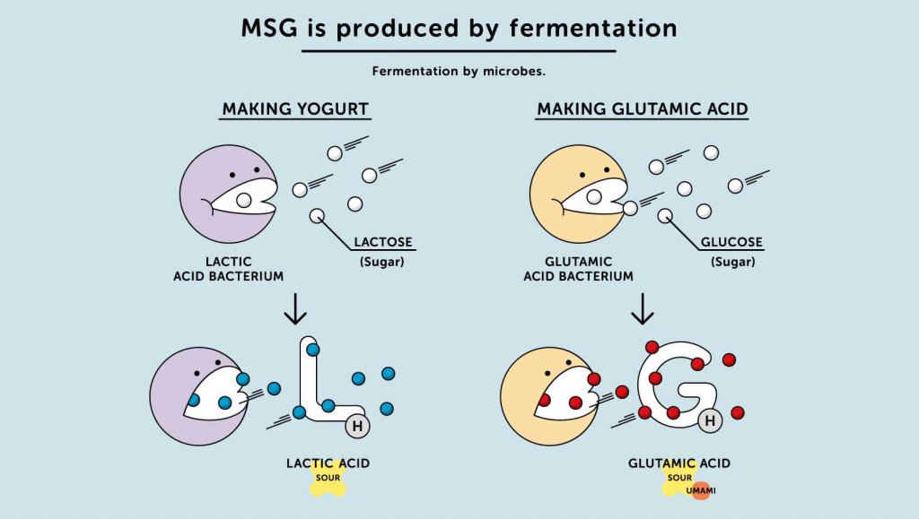 acid glutamic.jpg