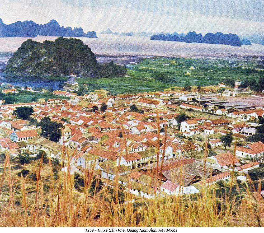 Quảng Ninh (7_59).jpg