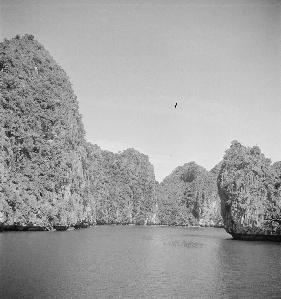 Quảng Ninh (5_60).jpg