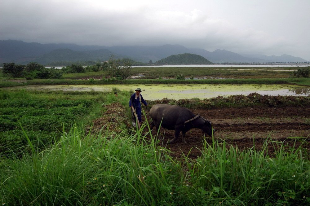 Quang Ninh_Quan Lan (7).jpg