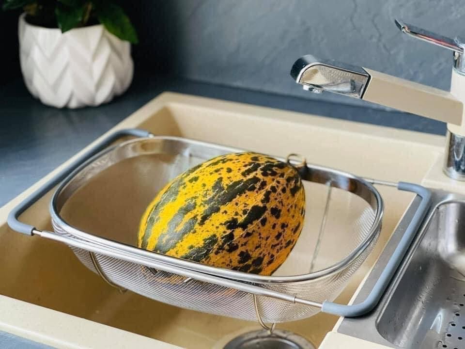 Rổ inox co giãn gác bồn rửa Ernesto 384651_21076.jpeg