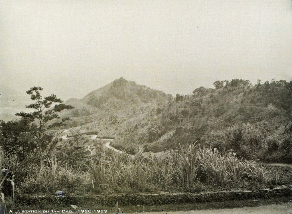 Tam Đảo (74).jpg