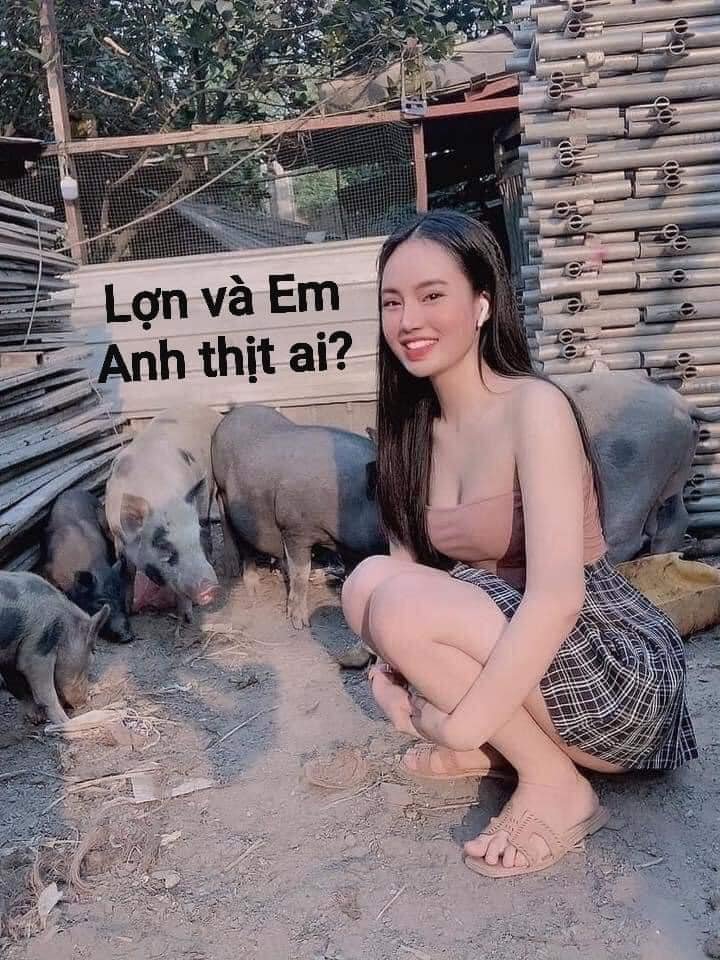 Lơn & em Anh thịt ai.jpeg