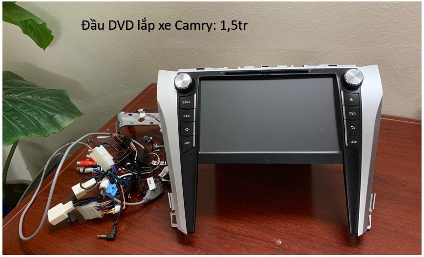 Dau DVD 1.5.jpg