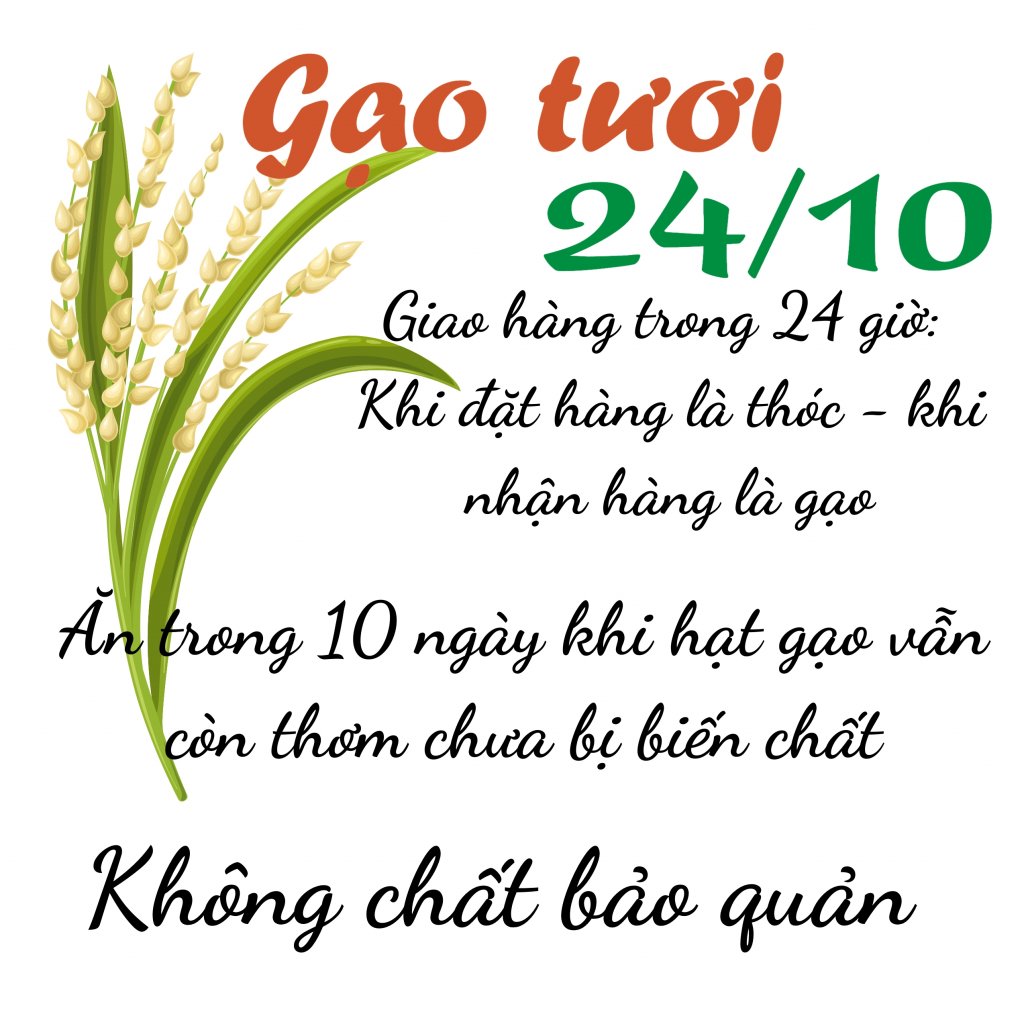 Gạo tươi 247.jpg