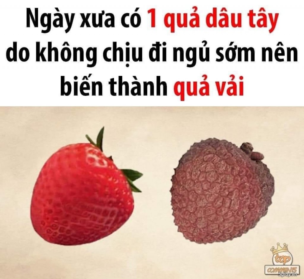 Ngủ khuya dâu thành ải.jpg