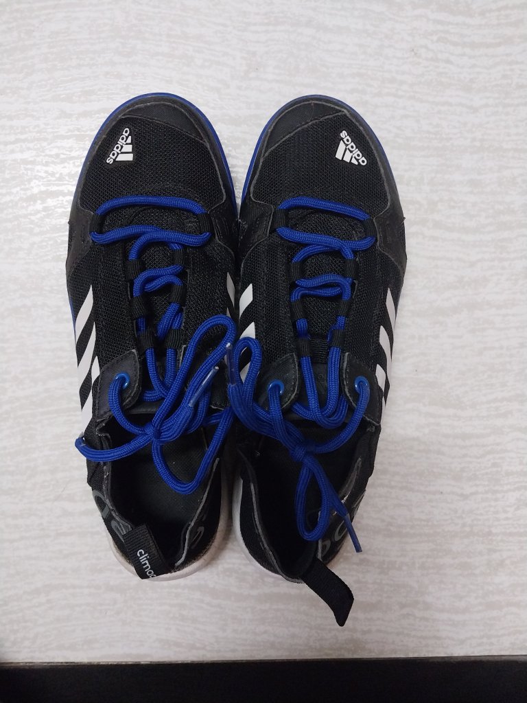20231003_164414.jpg