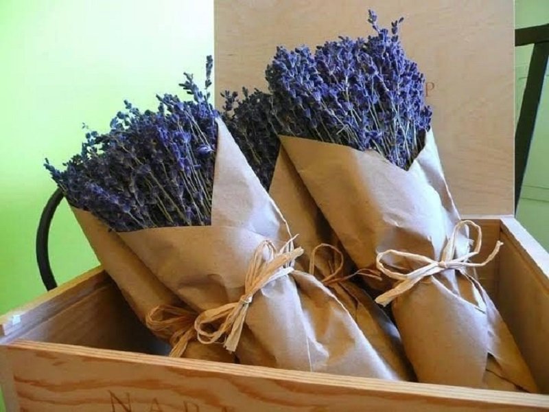 nia_hoa-kho-lavender.jpg