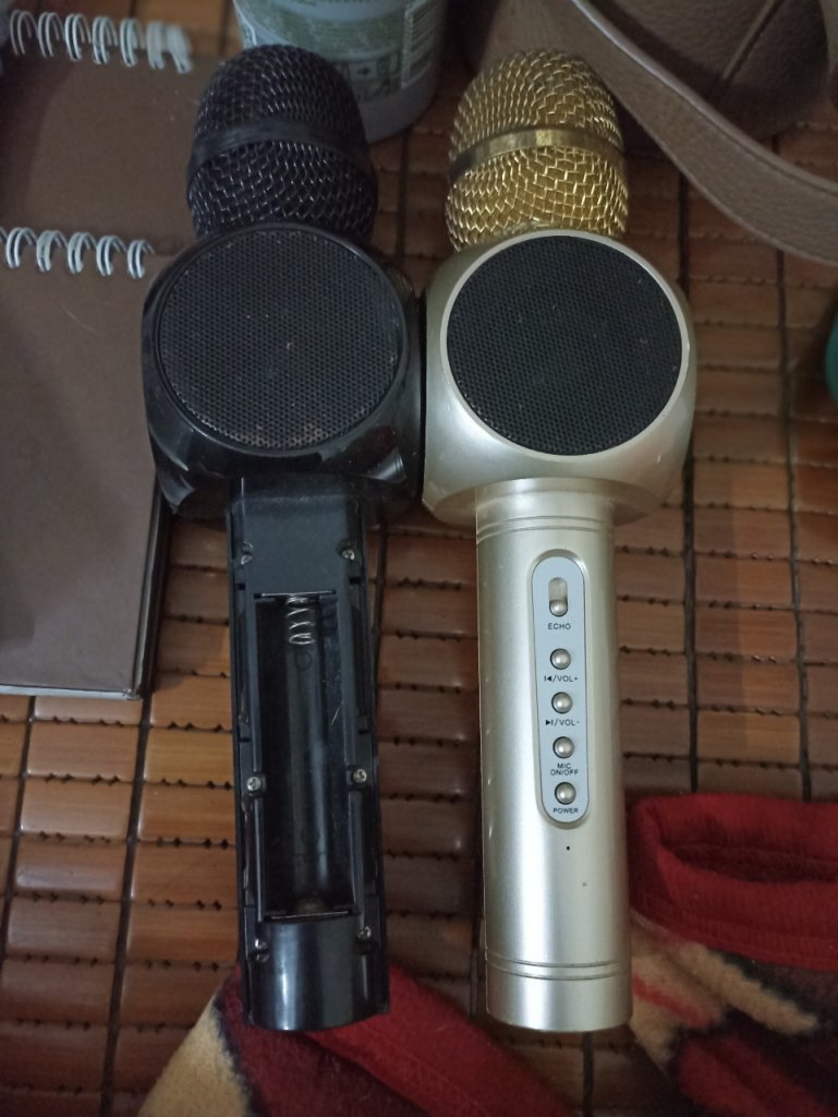 Mic.jpg