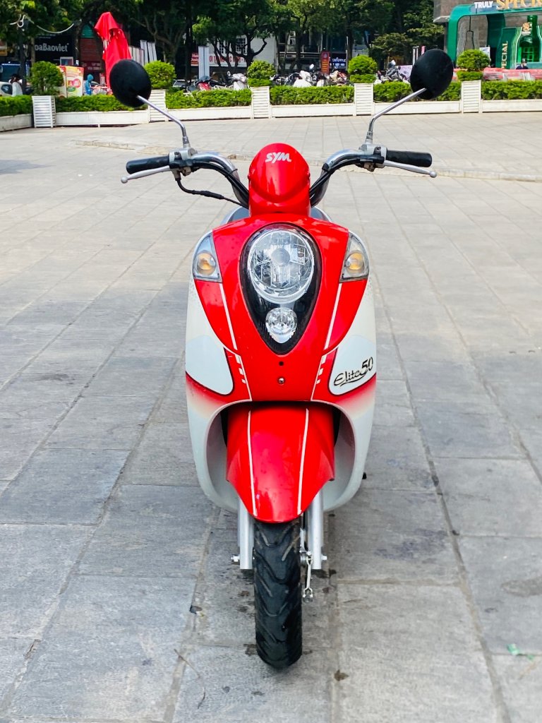 elite 50cc (2).jpg