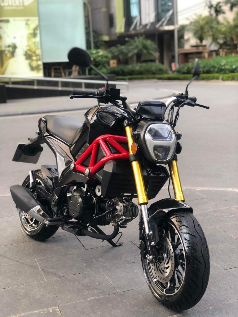 ducati mini  (3).jpg