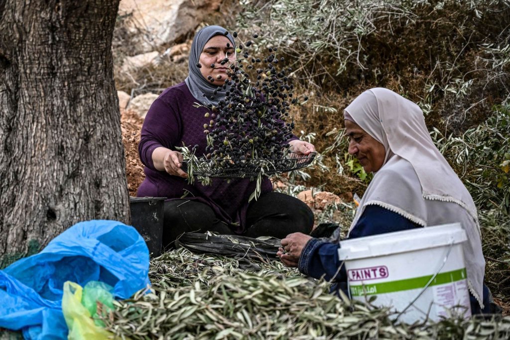 Israel 2023_11_11 (35).jpg