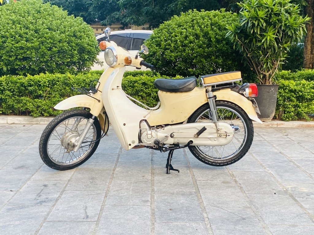 cub 50cc (1).jpg