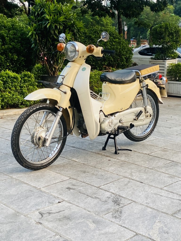 cub 50cc (2).jpg