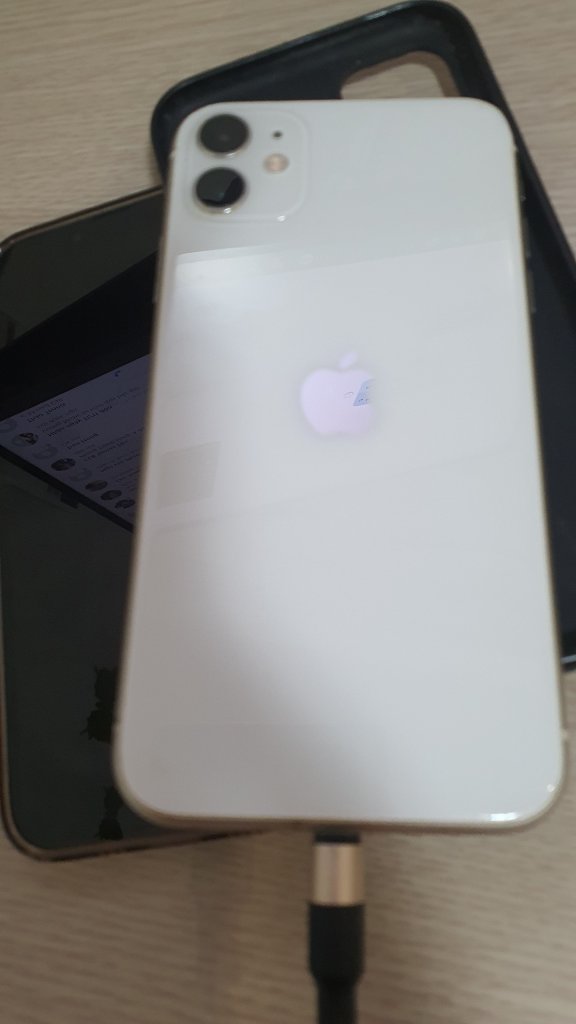 z4911483024268_f350d4ec414df99e9769eec9cc437fae.jpg