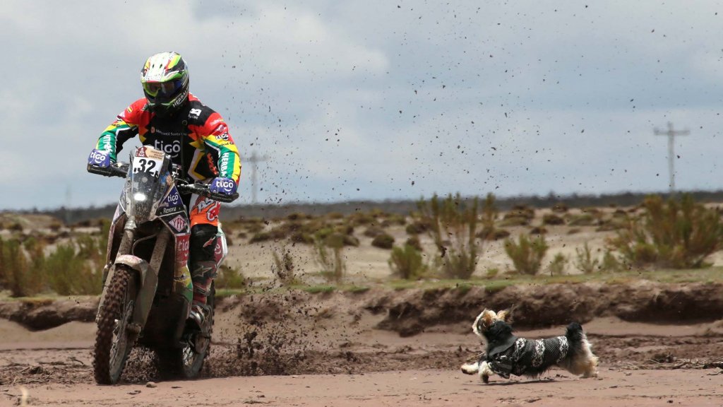 Dakar Rally 2017 (11).jpeg