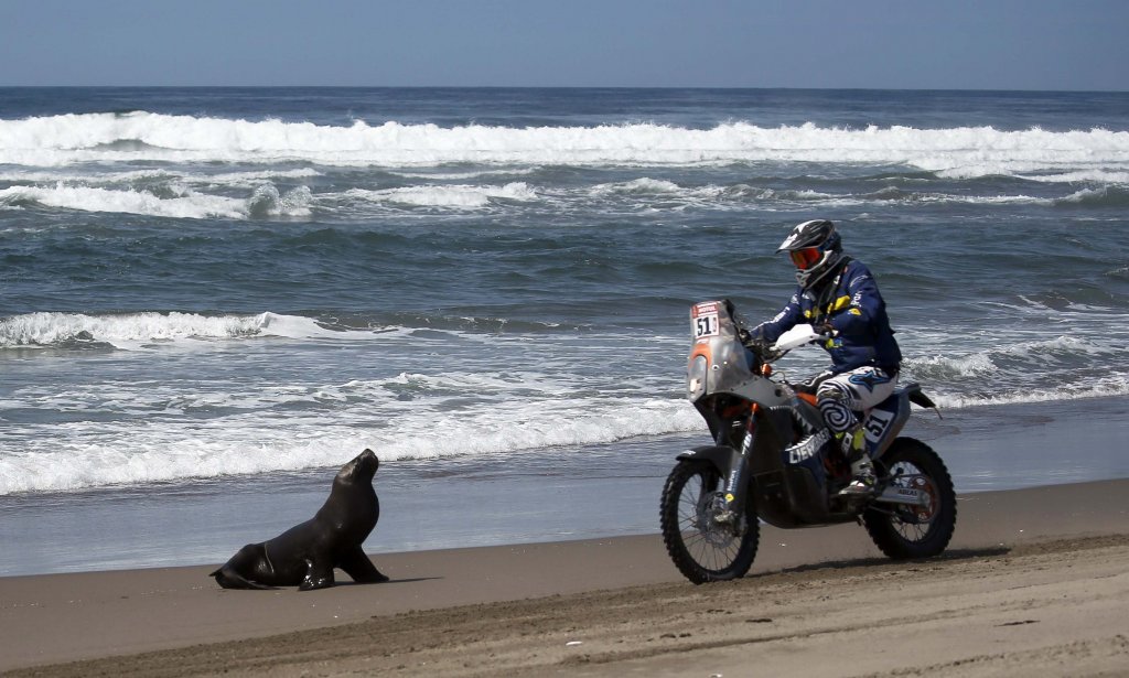 Dakar Rally 2018 (21).jpeg