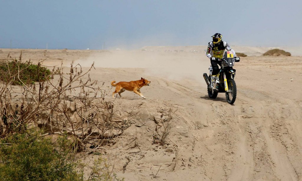 Dakar Rally 2019 (9).jpg