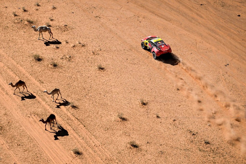 Dakar Rally 2024_1_17 (4).jpg