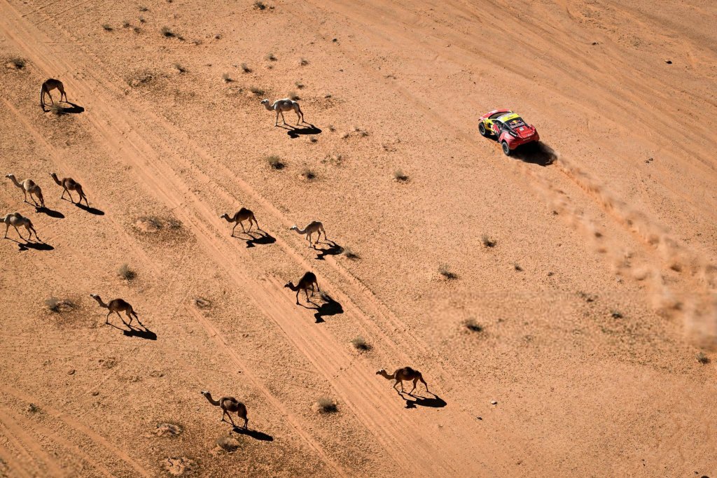 Dakar Rally 2024_1_17 (6).jpg