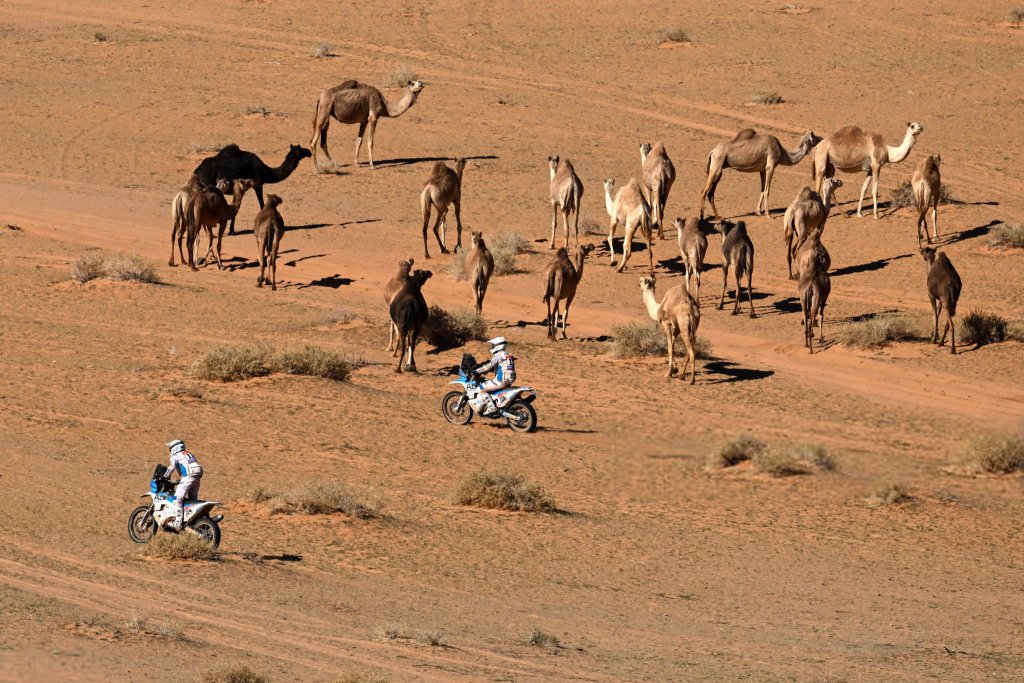 Dakar Rally 2024_1_17 (8).jpg