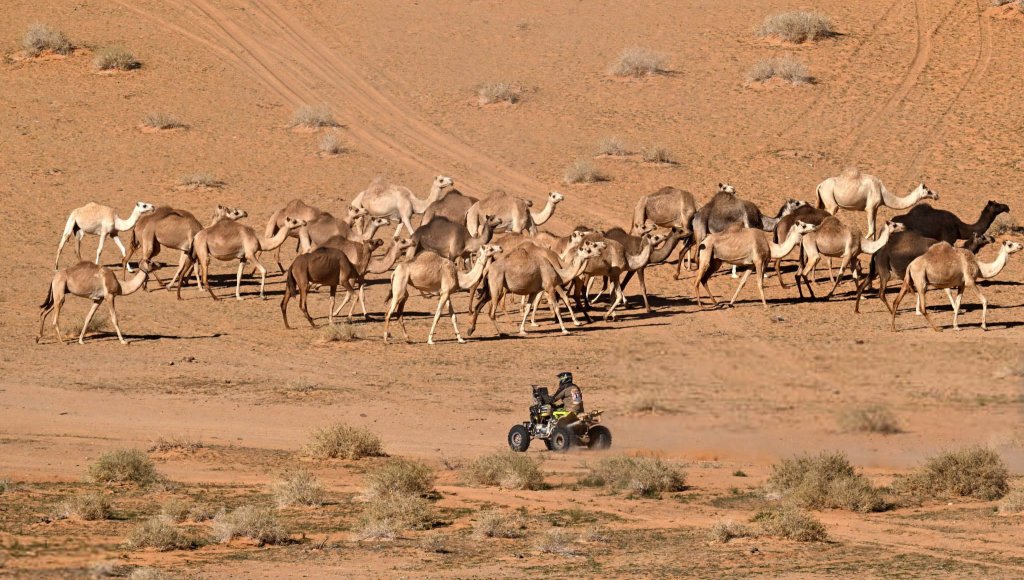 Dakar Rally 2024_1_17 (9).jpg