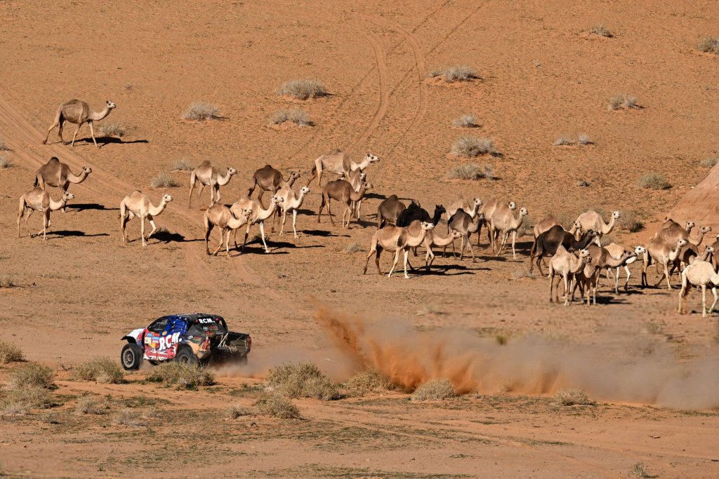 Dakar Rally 2024_1_17 (10).jpg