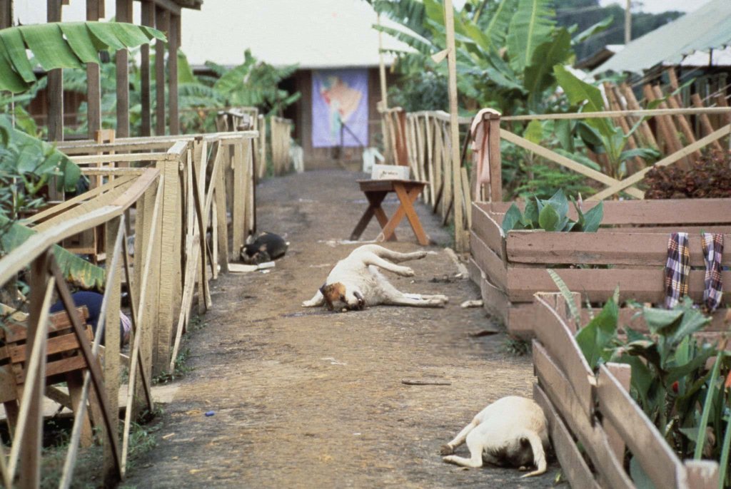 Guyana 1978_11_18 (48).jpg