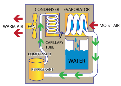 how-a-dehumidifier-works-art.gif