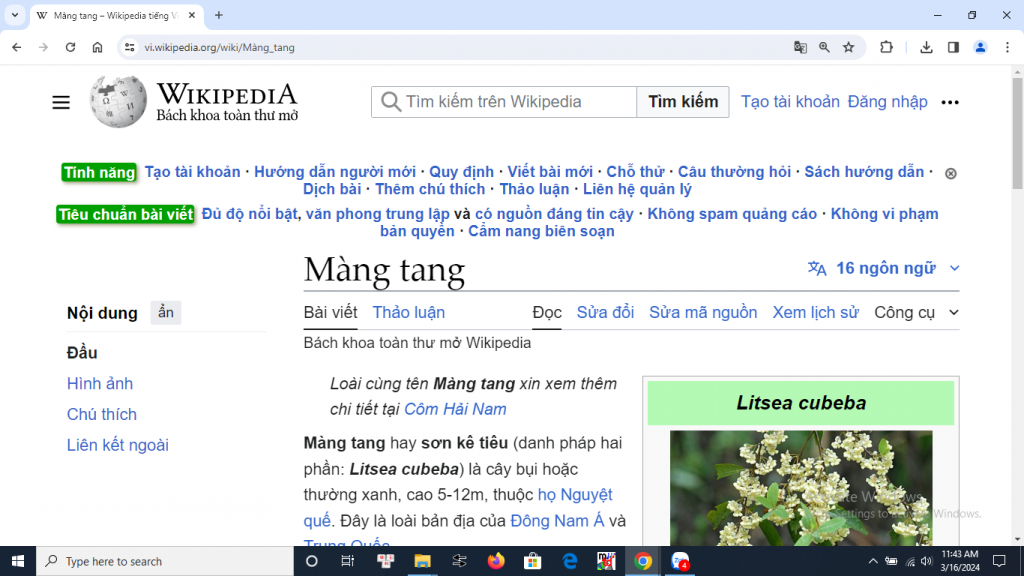 Màng tang_wiki vn.png