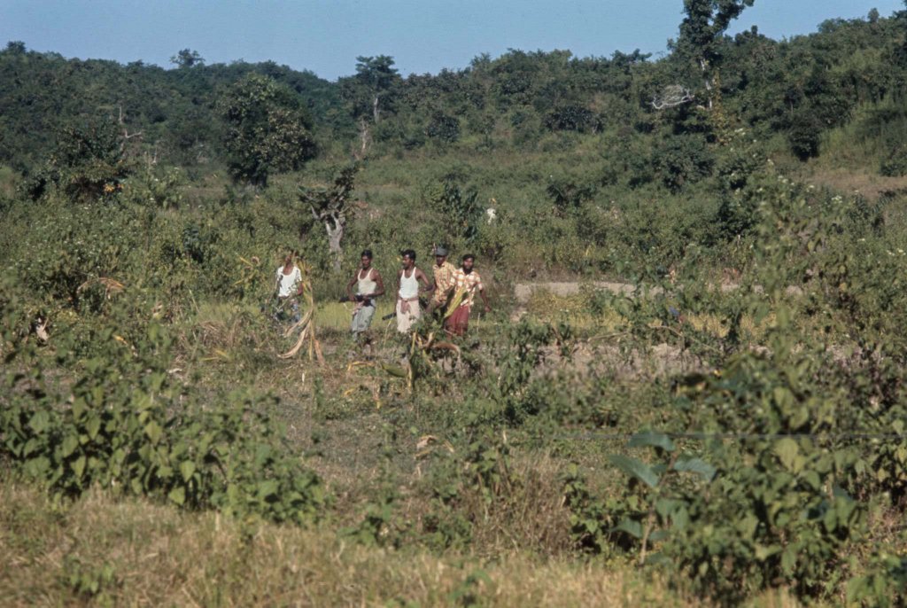 Bangladesh 1971_11_22 (2).jpg